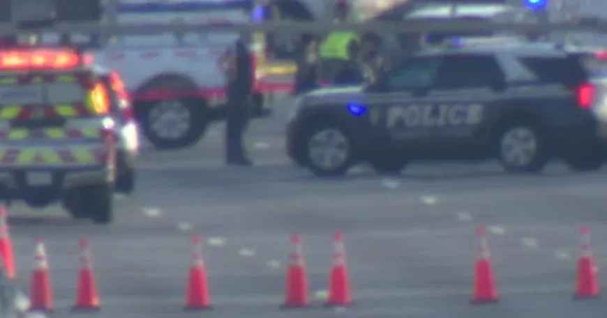 Suspect’s Dog Killed in I-495 Stabbings, Reports Virginia State Police