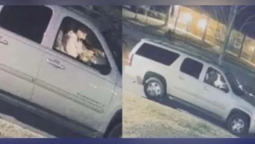 Arkansas Election Results as the 2026 Senate primary count takes shape