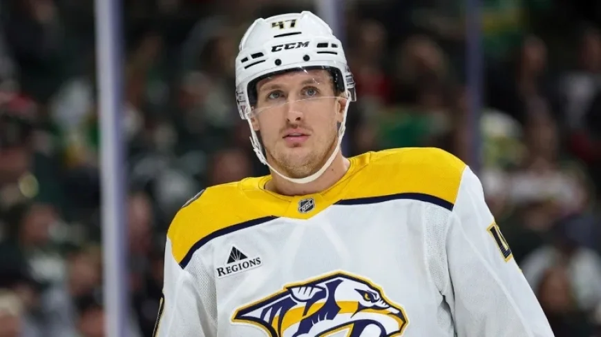 Michael Mccarron Trade: Wild Add Size and Depth for a 2028 Second-Round Pick