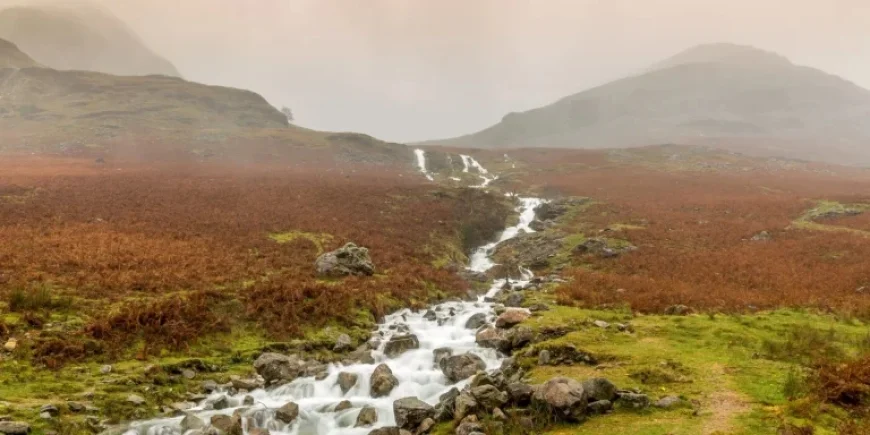 Weather Birmingham: Wet Winter Leaves Crops Waterlogged and Raises Climate Whiplash Fears