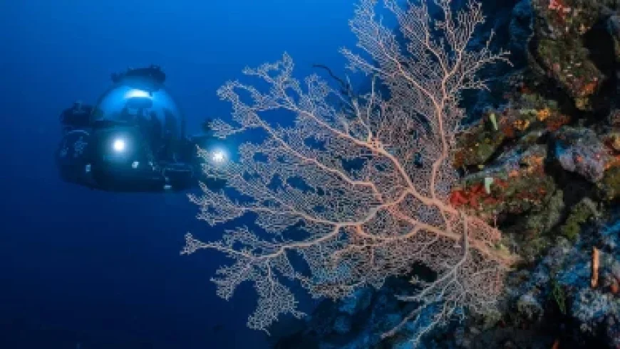 M32: Rush-hour Block, Police Standstill and Fatal Slip‑Road Crash Reveal a Short Motorway Under Strain