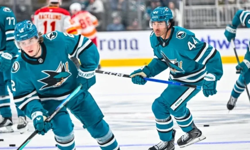 Sharks Re-Sign Sherwood, Boosting San Jose Hockey Roster