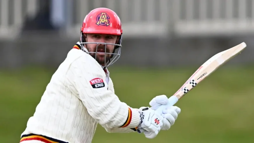 Nsw Vs Sa: Head to Open and Manenti Returns Shift South Australia’s Shield Push