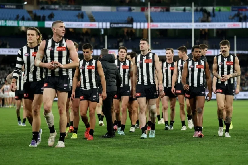 Espn Footy Tipping: Our predicted ladder — No love for Pies, non-Victorian clubs dominate