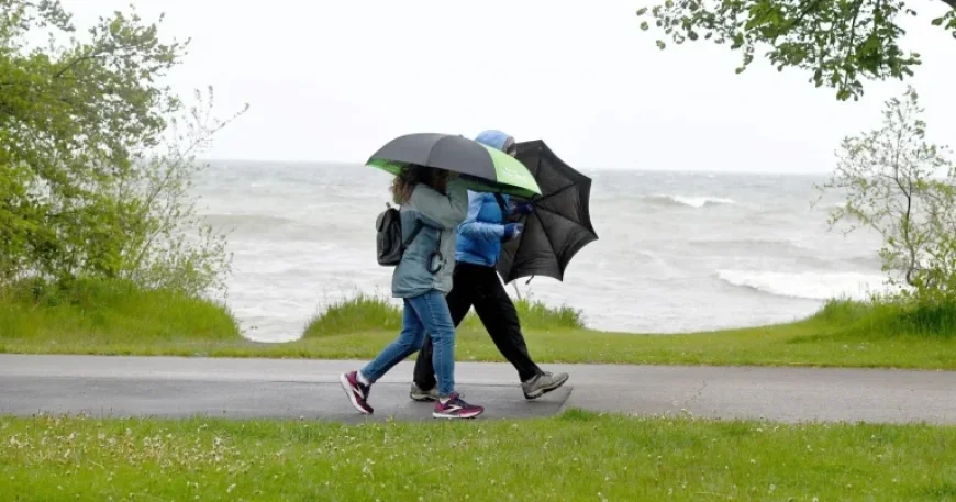 Hamilton Weather: Cold Alert Cancelled Within 24 Hours as Springlike Temperatures Rush In