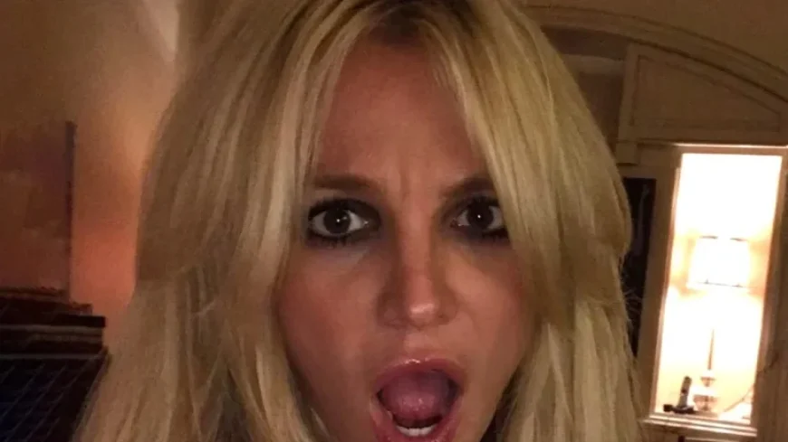 Britney Spears Secures Permanent Restraining Order Against Alleged Stalker