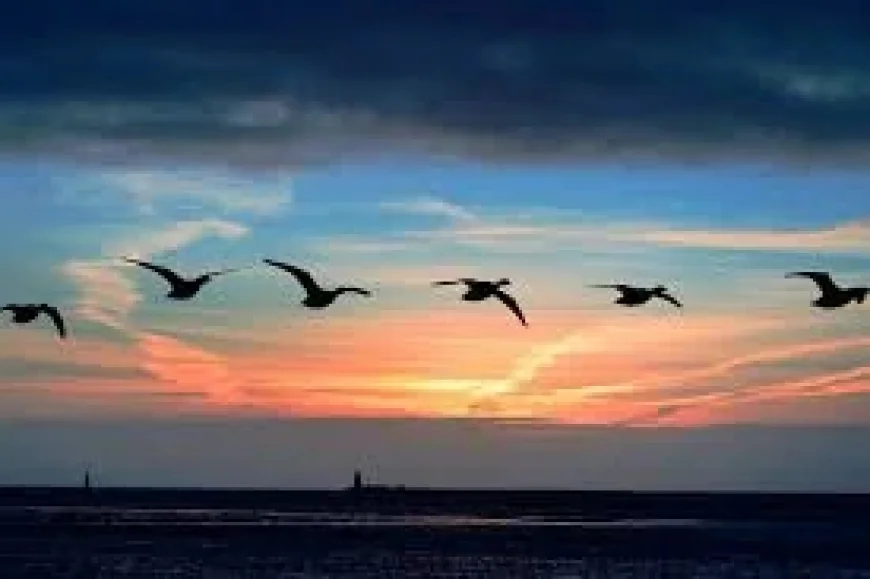 Weather Warning Ireland: Six Counties on Yellow Alert for Spot Flooding