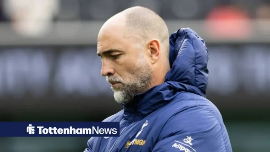 Tottenham Stadium accessibility win exposes sharp contrast with collapsing home form