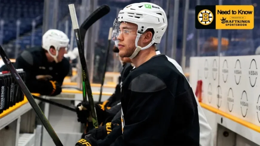 Bruins Vs Predators: Need to Know — Harris Returns, Aspirot Out, Korpisalo Starts