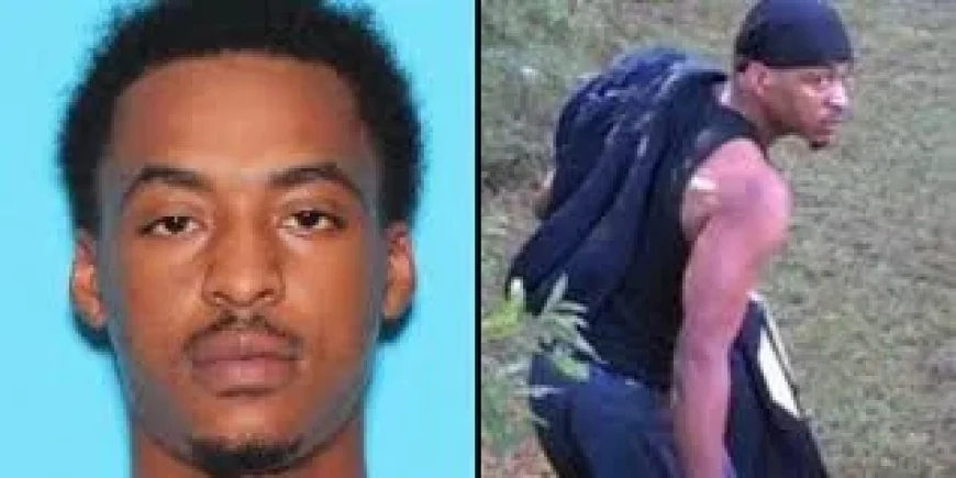 Person Of Interest Sought in Multiple Hattiesburg Commercial Burglaries