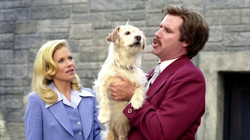 Christina Applegate Found Initial ‘Anchorman’ Offer Offensive