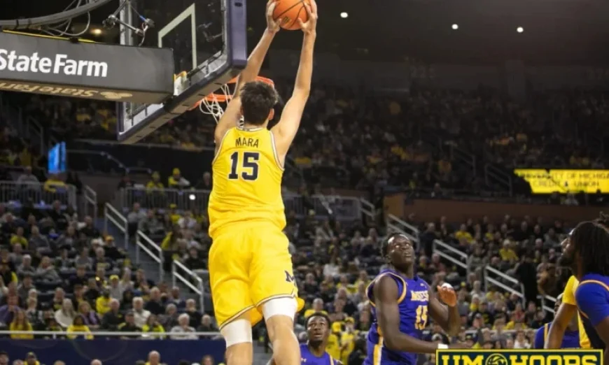 Michigan vs. Iowa: Game 30 Recap