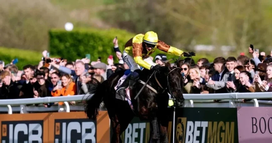 Galopin Des Champs Ruled Out but Praised as Cheltenham Looms