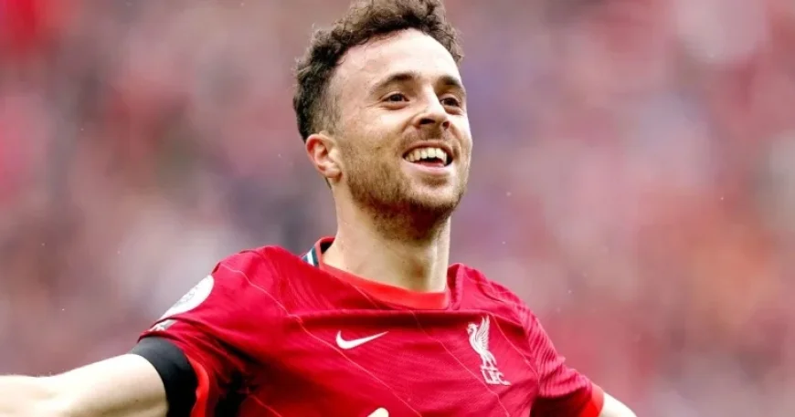 Liverpool Wolves: Paintings, Accounts and the Cost of Remembrance