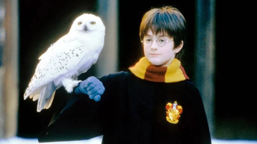 Jack Black: jack black Fantasy Hit Reaches New Streaming Peak as Viewing Patterns Shift