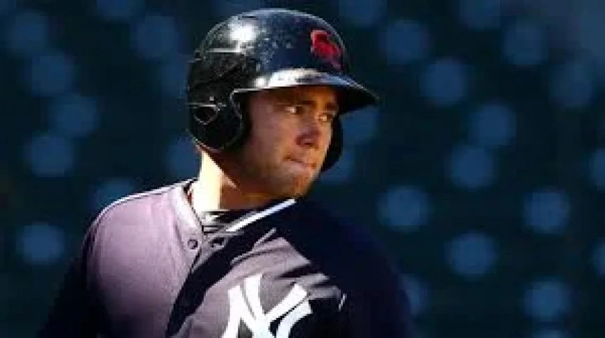 Dante Bichette Jr and Bo: Why Bo Bichette isn’t playing for Brazil at the WBC