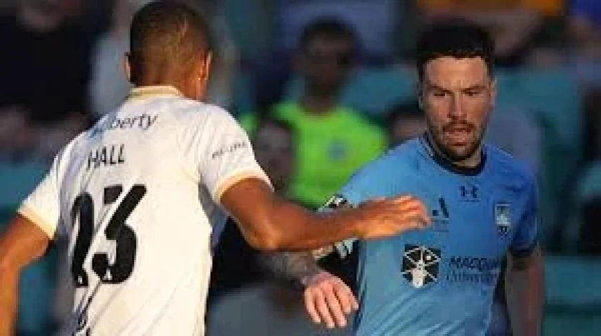 Sydney Fc striker Stamatelopoulos says goals will come ahead of Big Blue