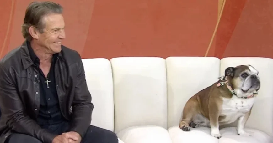 Dennis Quaid’s Unbothered Dog Steals the Spotlight: 5 Moments That Broke the Morning Broadcast