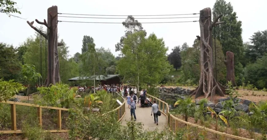 Dublin Zoo Mothers Day offer sparks praise and pushback as All Things Irish Takeover begins