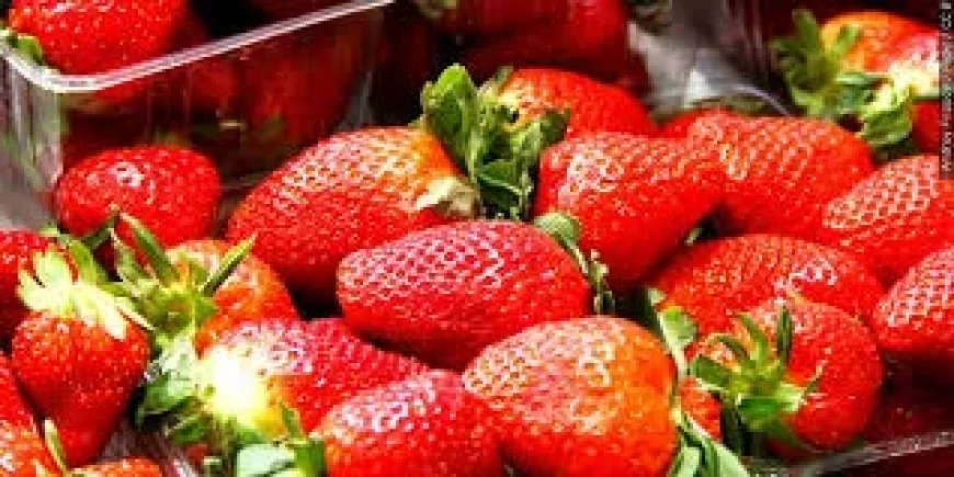 Strawberry Festival 2026: Two towns, two timetables, and the volunteer work behind the joy