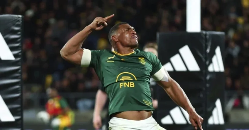 Rugby World Rankings: Springboks and All Blacks untouchable as Italy eyes a record high