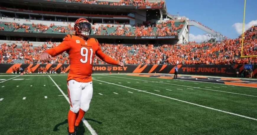 Defense Solutions: Premium, Mid-Range, and Affordable Options Available