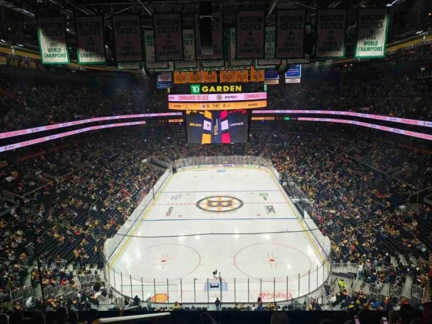 Bruins Defeat Capitals 3-1 in Post-Deadline Clash