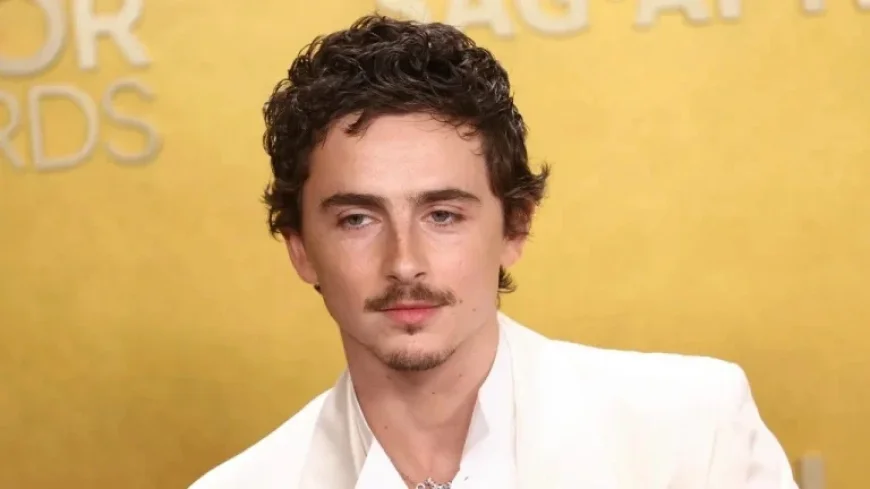 Timothée Chalamet Criticized for Dismissing Ballet and Opera Audiences