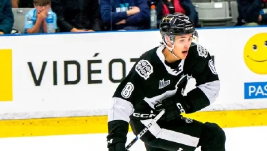 Canadiens Vs Kings: Quick guide to the afternoon showdown in Los Angeles