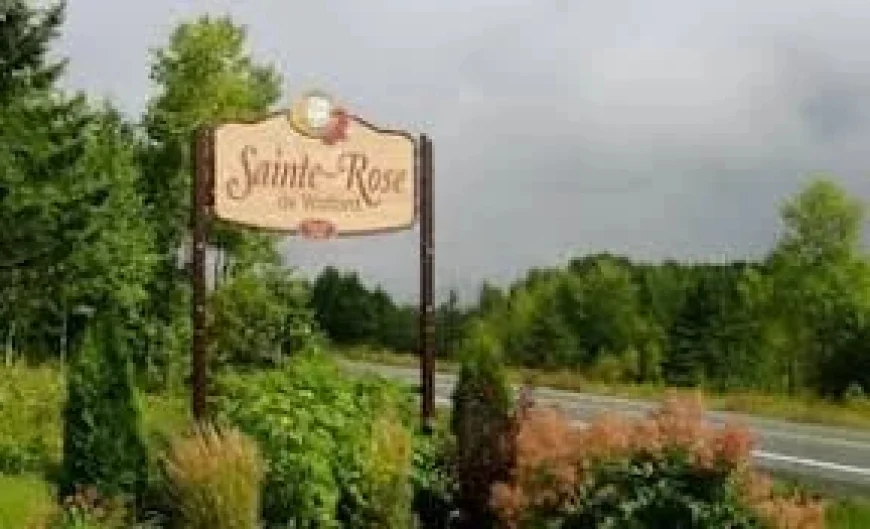 Bus Crash Quebec: Child Killed, 19 Hurt in Rural School Bus Rollover