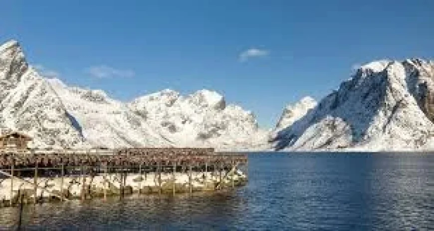 Norway: Loud Blast Near U.S. Embassy in Oslo Prompts Large Police Response