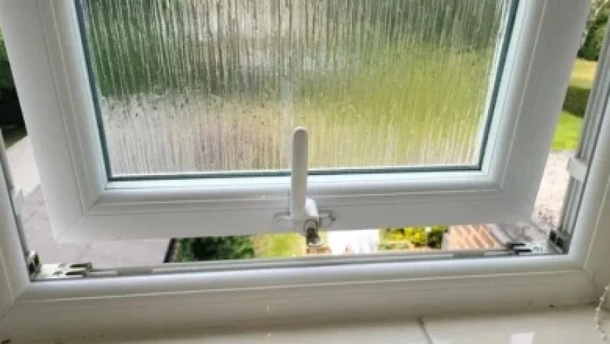 When Is International Women’s Day 2026: Google Doodle Honors STEM Pioneers as Leaders Push ‘Balancing the Scales’