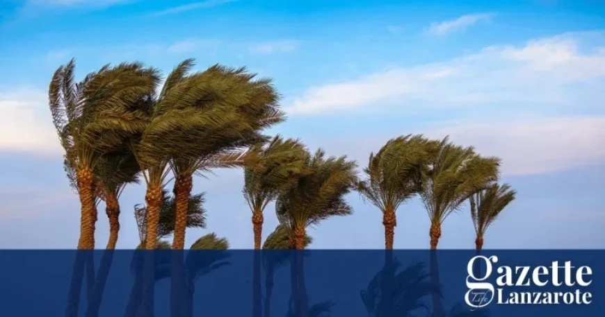 Tenerife Weather Warning Exposes A Tale of Two Coasts — Events Go Ahead While Seas Turn Dangerous