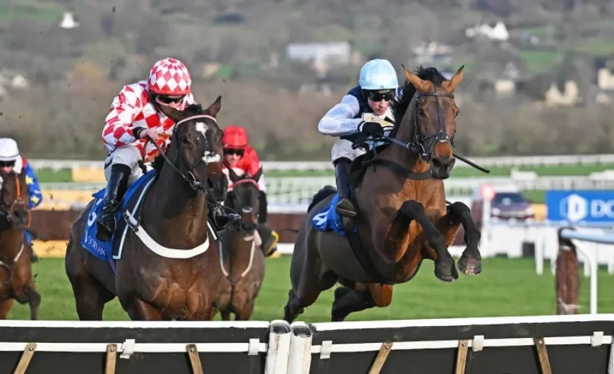 Paddy Power: A Cheltenham tips page, Harry Allwood and the browser that failed readers