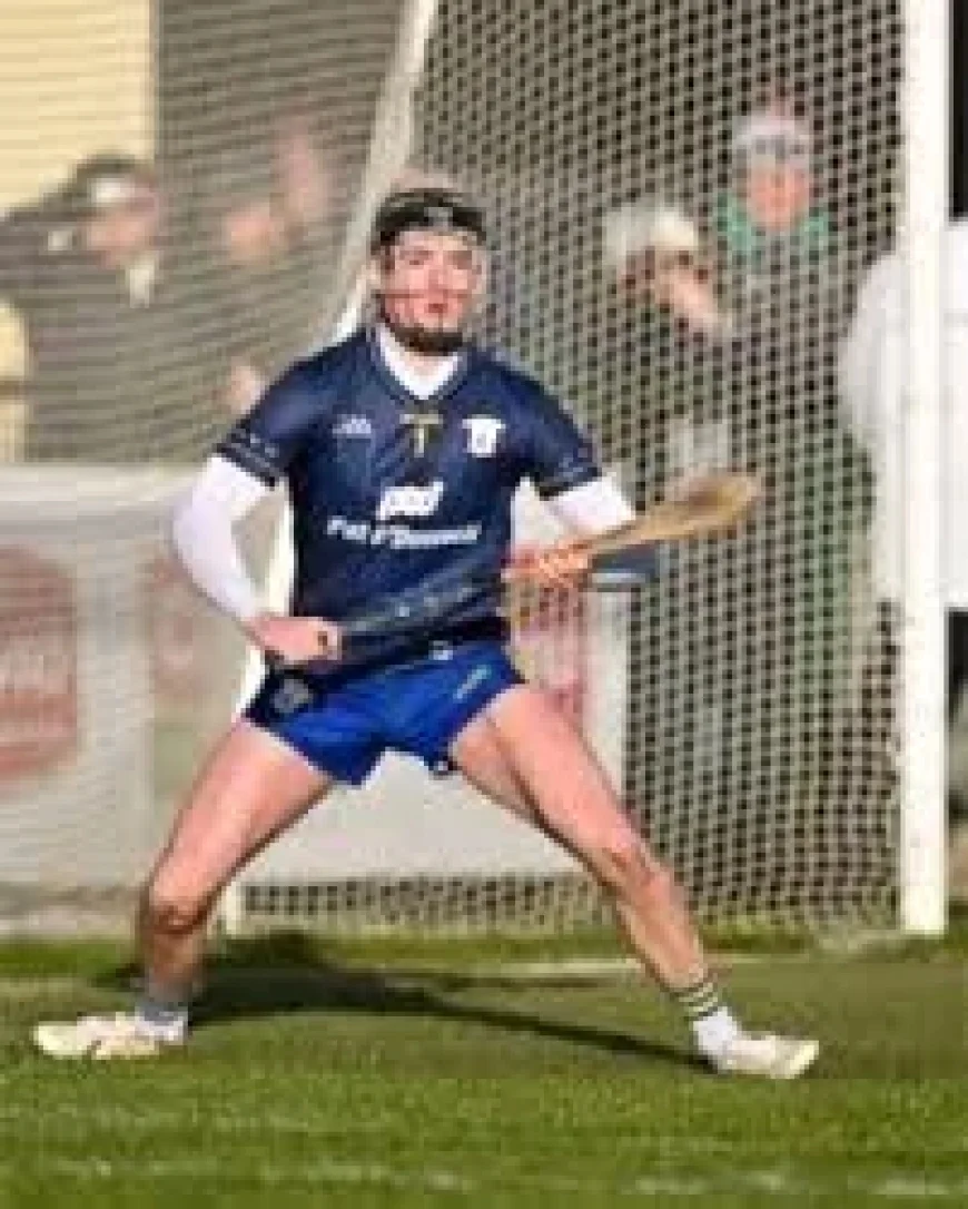 Clare V Wexford: Sheedy Set For League Debut as Clare Freshen Up Team