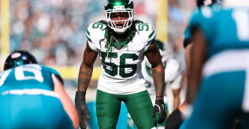 Detroit Lions Free Agency Preview: Top Linebacker Fits and Anzalone Replacements