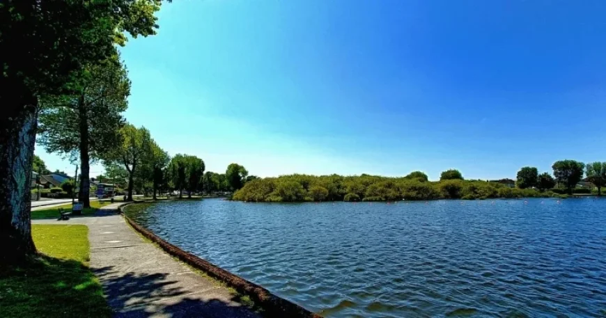 Ireland Weather: A Cork Morning, a Forecast of Wet and Breezy Days Ahead