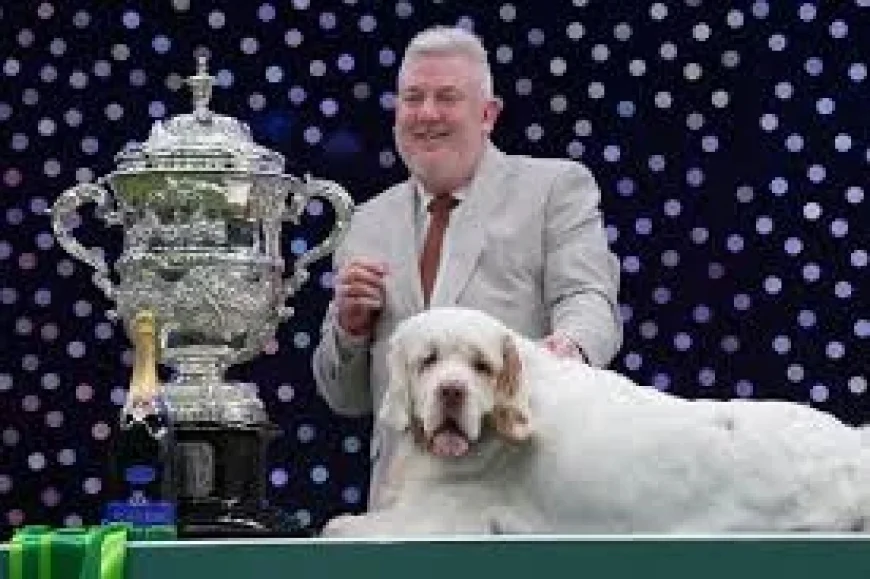 Crufts Results 2026: Clumber spaniel Bruin crowned Best in Show