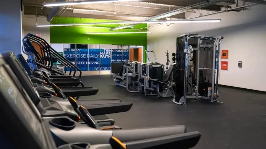 Insights on the Influencer: What We Know So Far