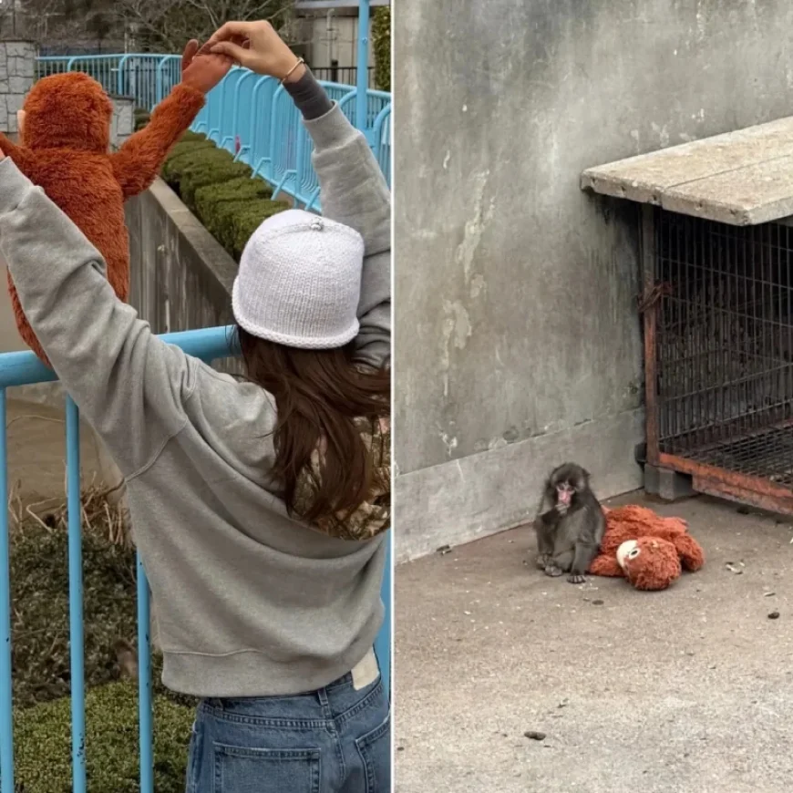 Lisa from Blackpink Meets Punch The Monkey