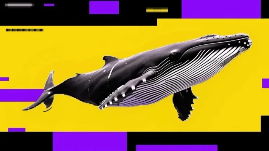 Bitcoin Price Usd as Whales Sell and Retail Chases: An Inflection After Iran Volatility