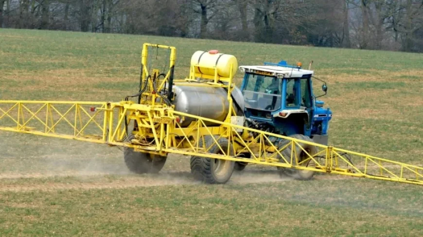 Access Exclusive Content: Subscribe Now