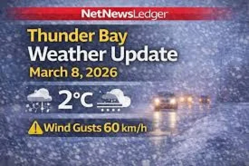 Thunder Bay Weather: Mild Afternoon to +9°C Conceals Rapid Freeze and Rural Shutdowns