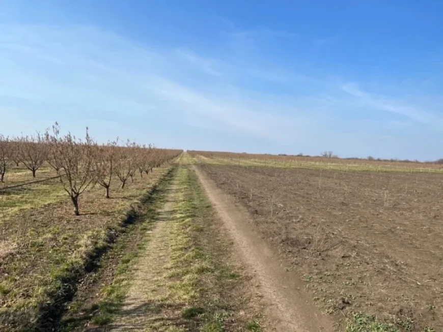 Vremea De Mâine: ANM’s March Outlook Signals a Warmer, Drier Start to Spring