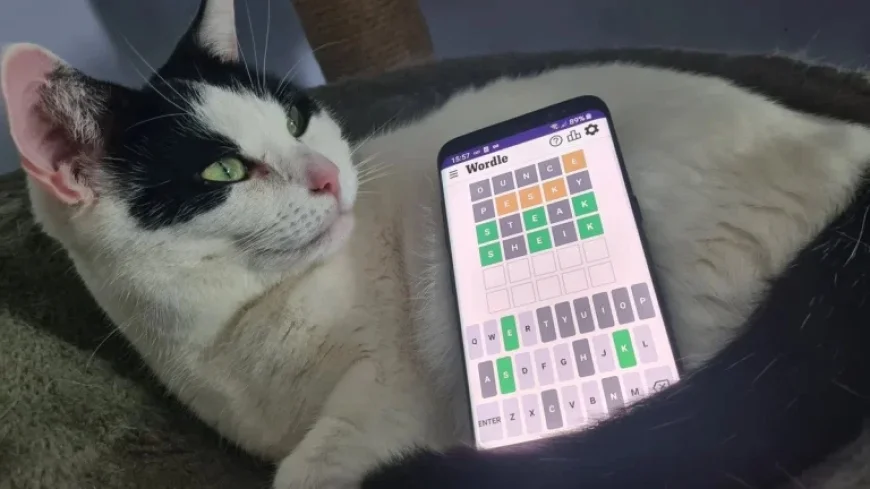 New York Times Wordle Reveals A Quiet Shift: Familiar Clues vs. Obscure Picks