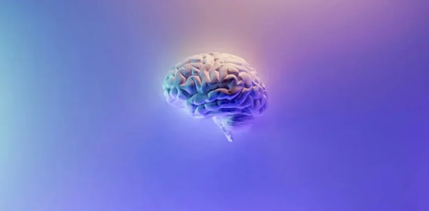 Why Leaning on AI for Thinking Is a Mistake, Says Science