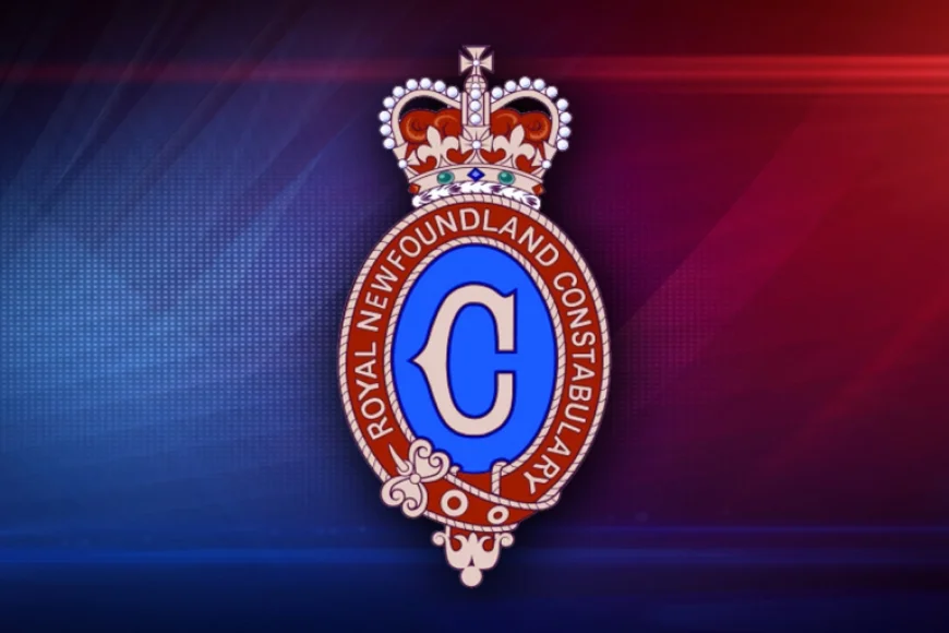 Vocm: Breath Tests Show Driver Over Twice the Legal Limit — Released to Face Court