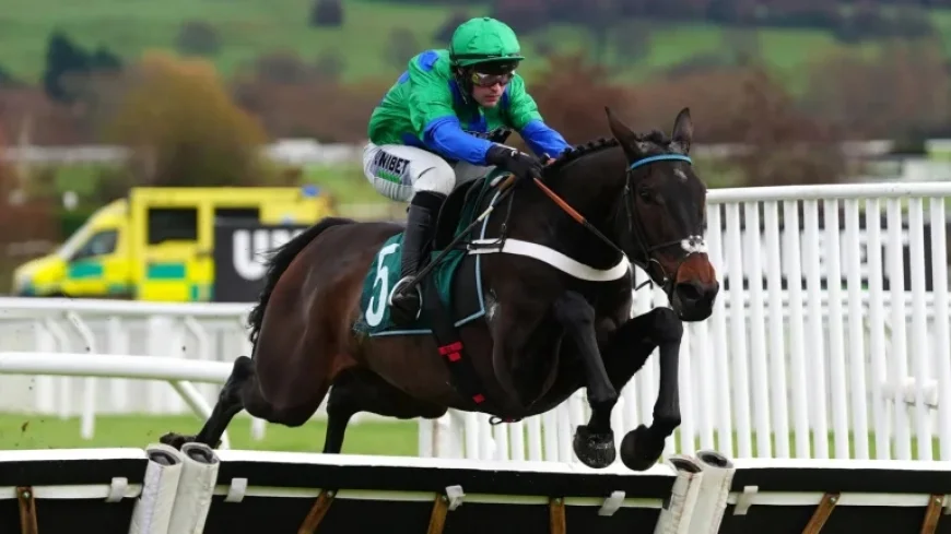 Old Park Star’s Market Lead Masks an Open Supreme Novices’ Hurdle