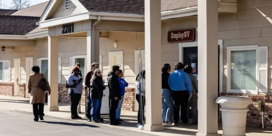 AI Job Disruption Intensifies as 75% Skip Unemployment Benefits