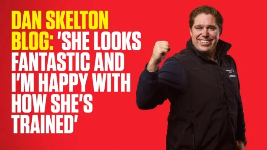 Ladbrokes amplifies Dan Skelton’s Cheltenham confessions — a contrast between candid training lessons and betting promotion